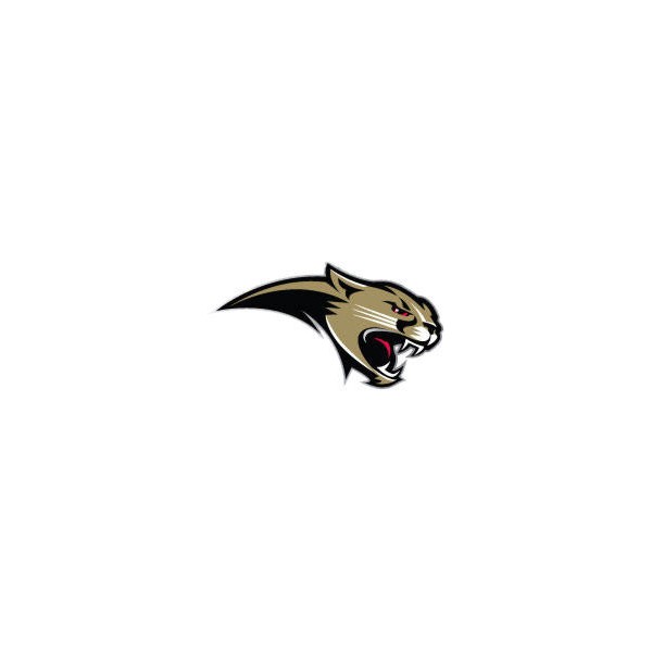 Cougar Lettermen Jacket Patch