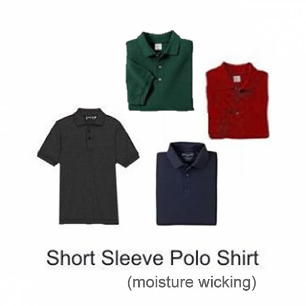 Polo-w-Logo-4-colors-600×600